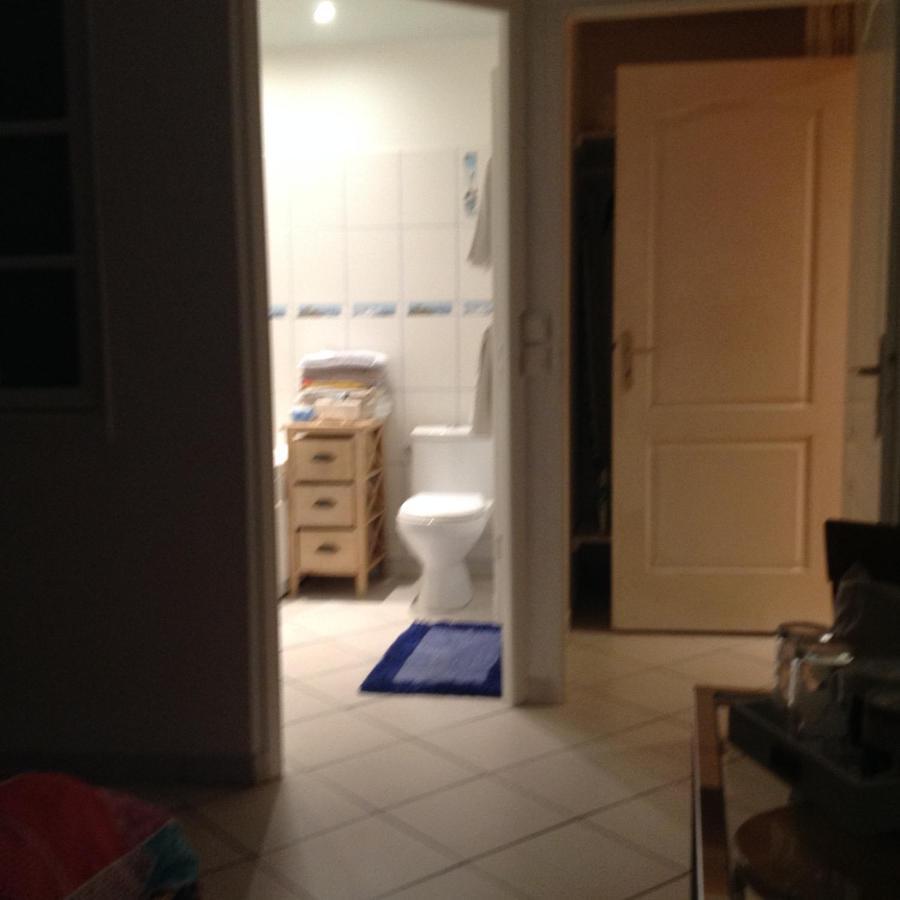 Les Roches De Coigne Apartment Sainte-Anne-sur-Vilaine Ngoại thất bức ảnh